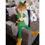 Maskotka na zamówienie. Projekt - Piotruś Pan